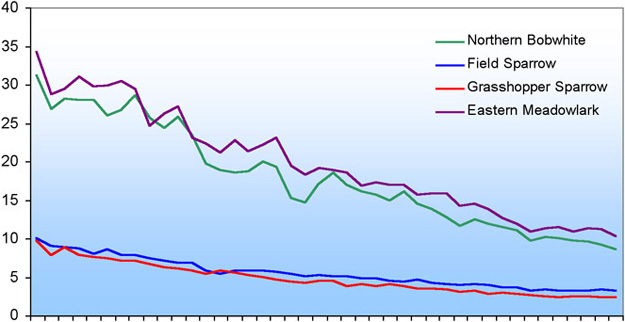 Population Trend Graph