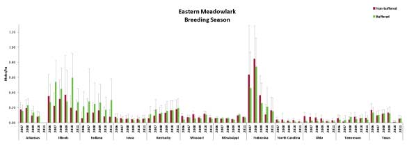 Eastern Meadowlark