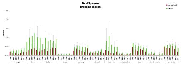 Field Sparrow