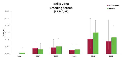 Bell's Vireo Breeding Season