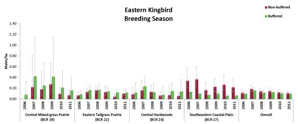 Eastern Kingbird Breeding Season