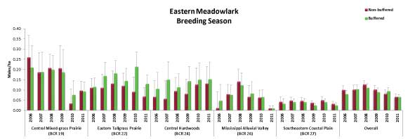Eastern Meadowlark Breeding Season