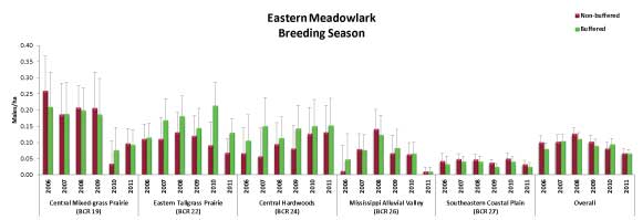 Eastern Meadowlark Breeding Season