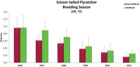 Scissor-tailed Flycatcher