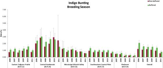 Indigo Bunting Breeding Season