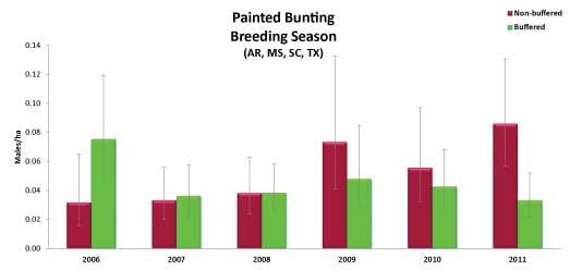 Painted Bunting Breeding Season