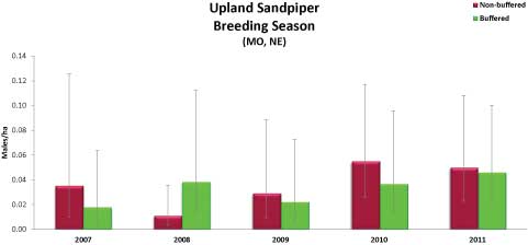 Upland Sandpiper Breeding Season