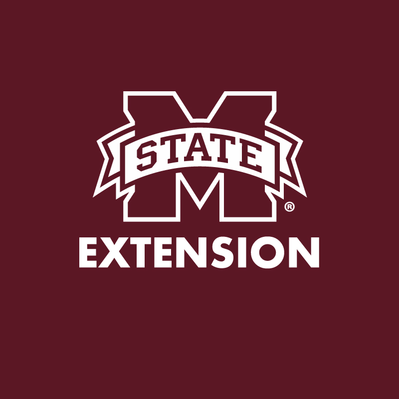 Extension Logo