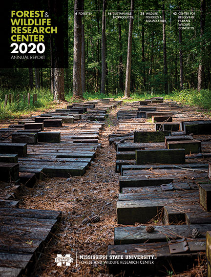 2020 Annual Report