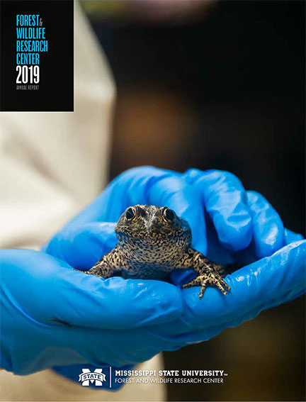 2019 Annual Report