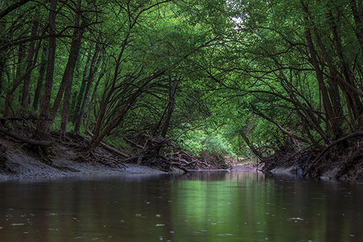 Picture of a creek