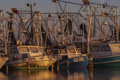 fishing boats docked closely together