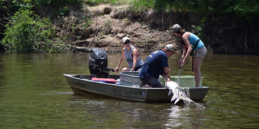 Noxubee's Ancient Occupants: Prehistoric fish discovered in the depths of Bluff Lake