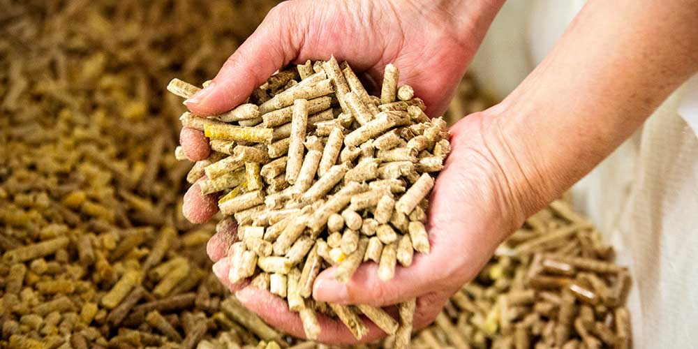 A Better, Stronger Wood Pellet