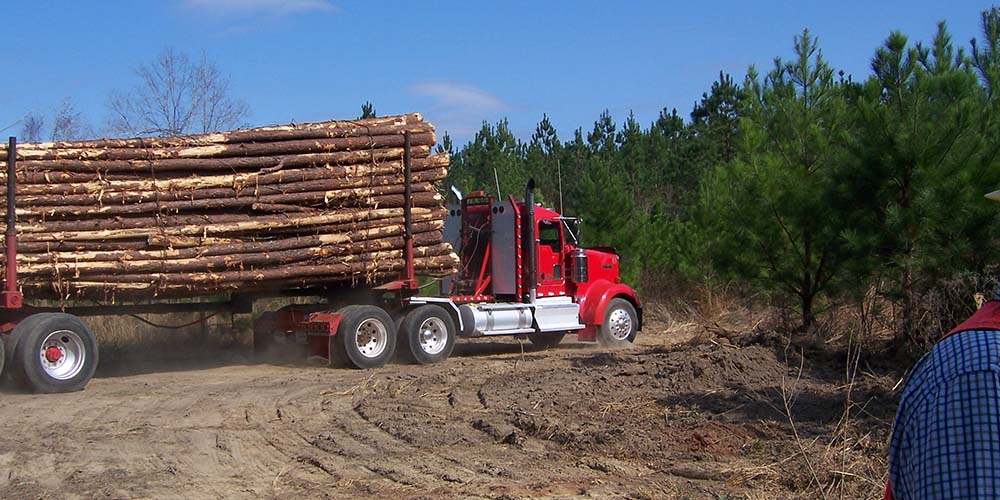 From Forest Floor to Mill Door, FWRC Researchers Keep Wood Moving