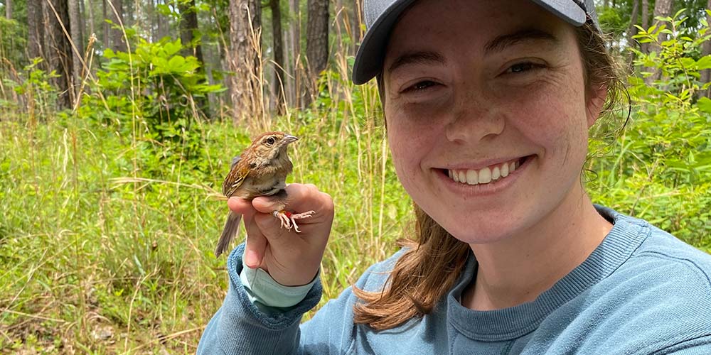 Increasing Habitats for Southeastern Birds and Trees